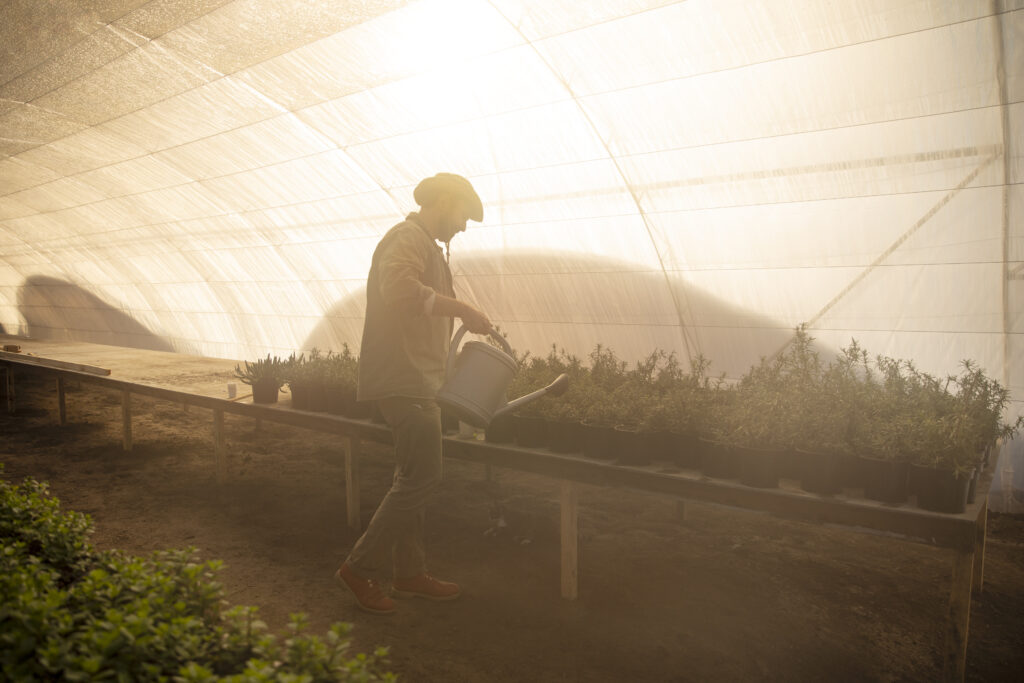 Proveedor de equipos agrícolas mostrando soluciones de riego